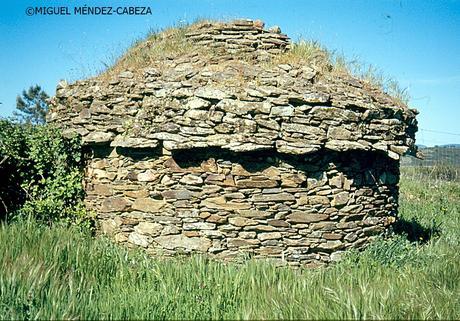 El Péndulo Rural