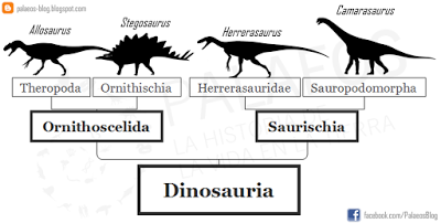 ¿Cambia todo lo que sabíamos de los dinosaurios?