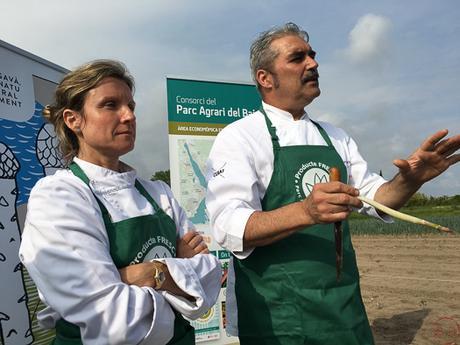 GastroGavà y la 64 Fira dedicada a l’Espàrrec de Gavà.