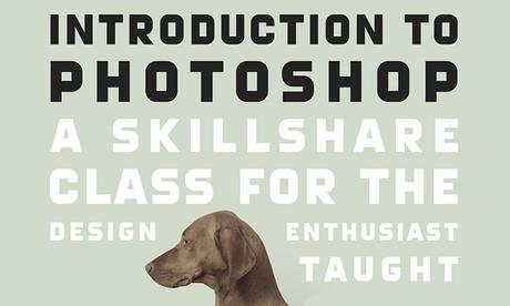 7 Cursos de Skillshare muy interesantes