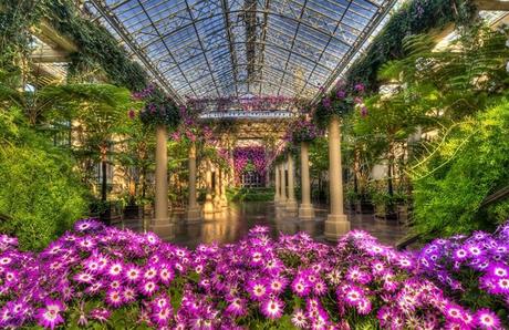 ¡El Paraíso De Los Amantes De La Botánica y La Jardinería!