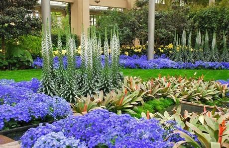 ¡El Paraíso De Los Amantes De La Botánica y La Jardinería!