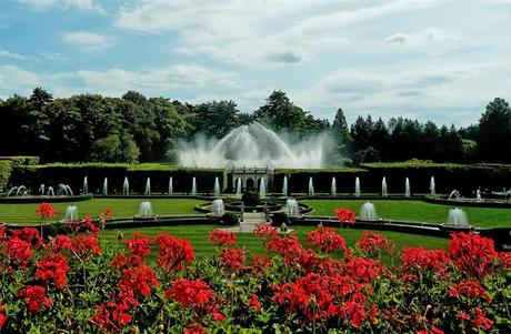 ¡El Paraíso De Los Amantes De La Botánica y La Jardinería!