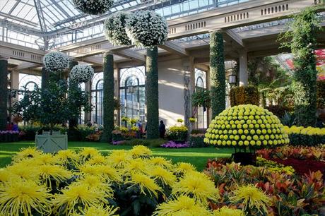 ¡El Paraíso De Los Amantes De La Botánica y La Jardinería!