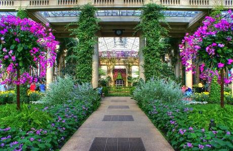 ¡El Paraíso De Los Amantes De La Botánica y La Jardinería!