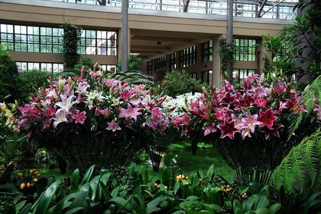 ¡El Paraíso De Los Amantes De La Botánica y La Jardinería!