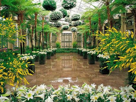 ¡El Paraíso De Los Amantes De La Botánica y La Jardinería!