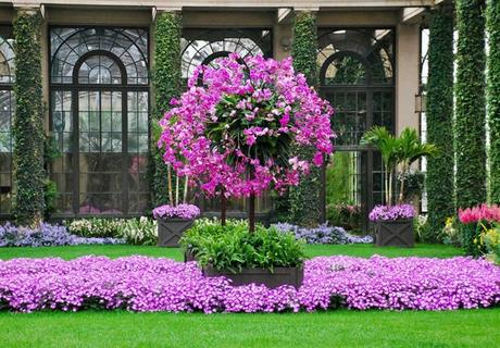 ¡El Paraíso De Los Amantes De La Botánica y La Jardinería!