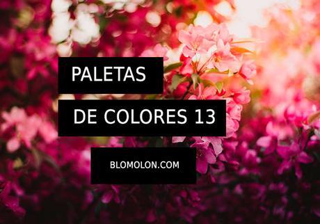 Paletas De Colores 13