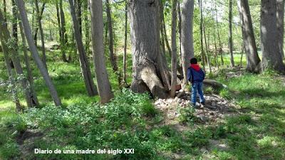 Miércoles Mudo: Buscando pitufos en el bosque