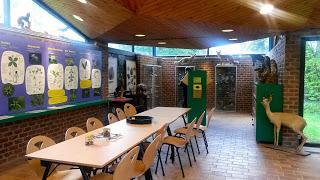 Recorrido floral por Bélgica