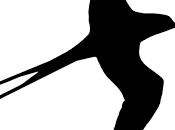 ¿somos rebaño? LIBERTAD PERSONAL