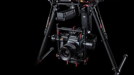 Hasselbald Dji 100mp Detalle