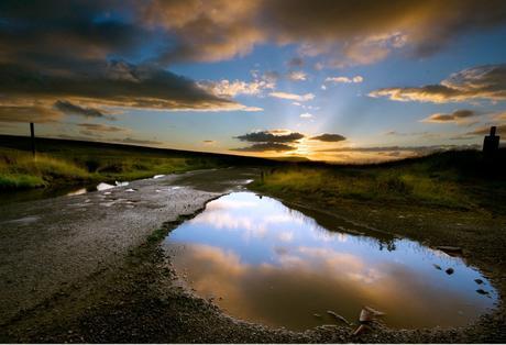 ¿Cómo afectan las lluvias primaverales a los insectos?