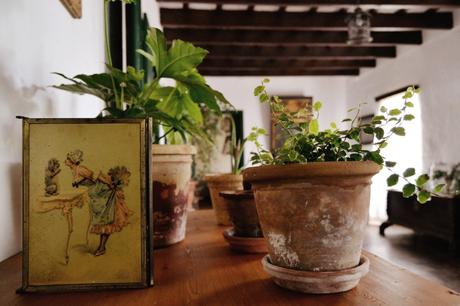 ESTILO RÚSTICO RENOVADO