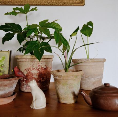 ESTILO RÚSTICO RENOVADO