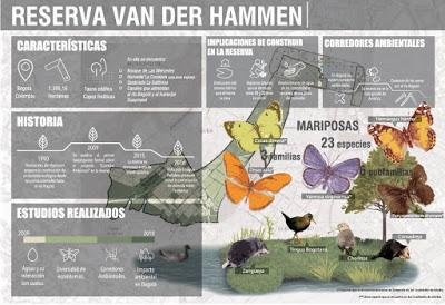 ALCALDE DE BOGOTÁ SIN ARGUMENTOS NI PROPUESTA CLARA INSISTE EN DESTRUIR RESERVA FORESTAL TVDH