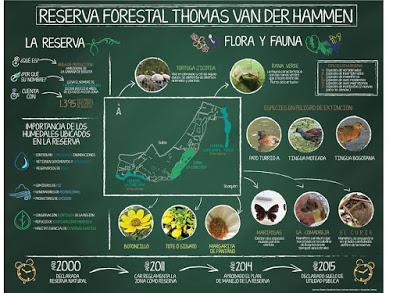 ALCALDE DE BOGOTÁ SIN ARGUMENTOS NI PROPUESTA CLARA INSISTE EN DESTRUIR RESERVA FORESTAL TVDH