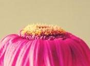 Cómo hacer zumos detox