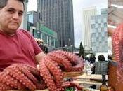 feria artesania gastronomia, pulpeiro