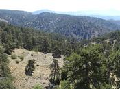 Chipre: montañas troódos