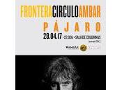 Pájaro Frontera Círculo Ambar