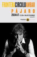 Concierto de Pájaro en Frontera Círculo Ambar
