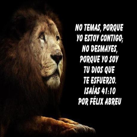 No Hay Salida Humana