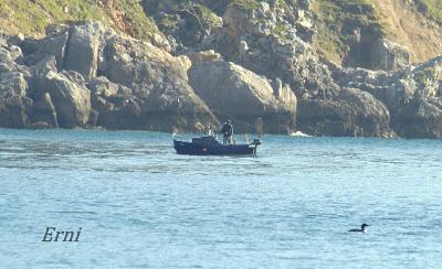 CHARRANCITO Y FUMAREL CARIBLANCO