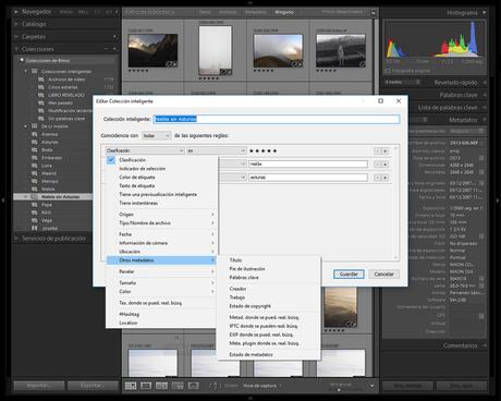 Colecciones Inteligentes I