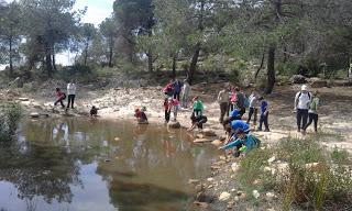 Paraje natural municipal La Dehesa de Soneja