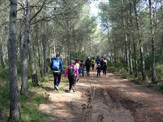 Paraje natural municipal La Dehesa de Soneja