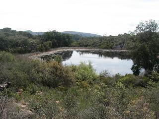 Paraje natural municipal La Dehesa de Soneja