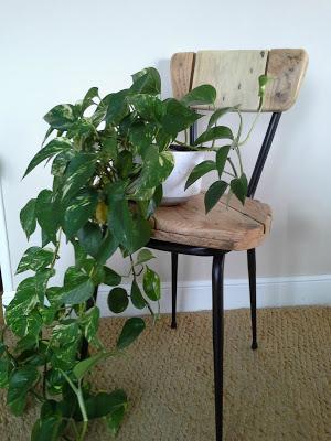 Sillas de los 70 tuneadas