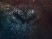 [RCi] Kong: isla Calavera