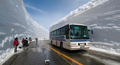 Cosas Más Raras Increíbles y Curiosas