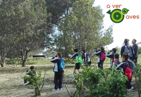 Chispea en Las Cruces y hace frío en El Retiro; pero Aver Aves no se detiene