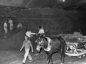 Foto Antigua: Construyendo Metro Madrid (1962)