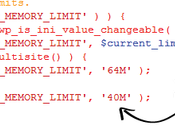 ¿Cómo Solucionar “Fatal error: Allowed memory size exhausted WordPress?