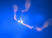 ✨Agujeros negros Abell