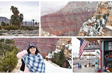 ¡Llegue a HOLLYWOOD! ★ #FlandersPorElMundo ¡Llegue a HOLLYWOOD! ★ #FlandersPorElMundo