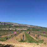 Trabajadores en el campo