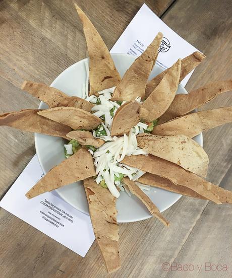 Ándele Urban, de vuelta a los orígenes