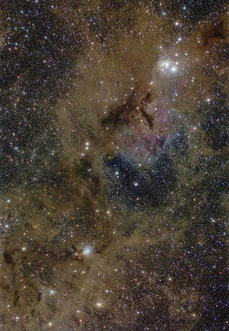 ✨La nube molecular de Perseo por Lynn Hilborn