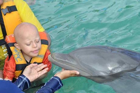 DIF municipal concluye con éxito programas de terapias con defines