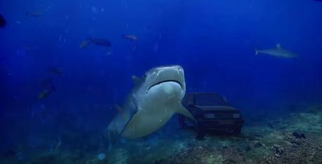 Quería vender su coche y creó un anuncio épico #BuyMyVitara