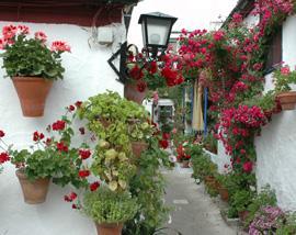 PATIOS ANDALUCES