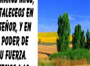 Cómo resistir ataques satánicos