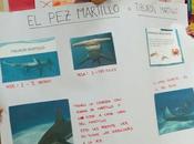 Tiburón martillo