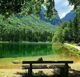 VOY A VER SI TUS OJOS...